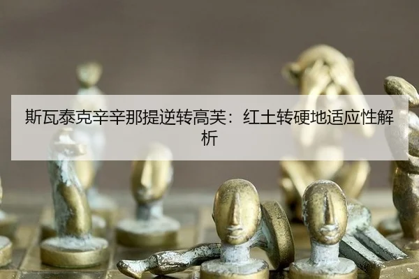 si-wa-tai-ke-xin-xin-na-ti-ni-zhuan-gao-fu-hong-tu-zhuan-ying-di-shi-ying-xing-jie-xi-1-613.jpg
