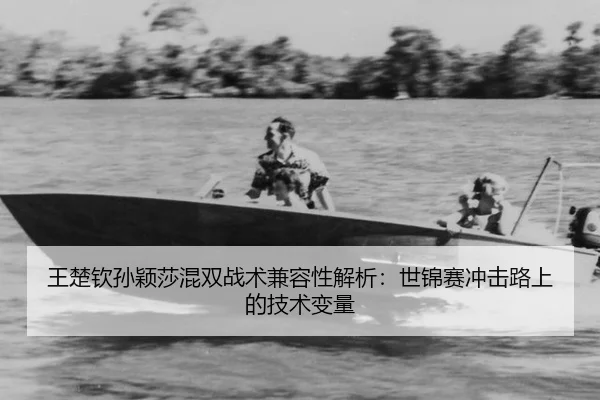 wang-chu-qin-sun-ying-sha-hun-shuang-zhan-shu-jian-rong-xing-jie-xi-shi-jin-sai-chong-ji-lu-shang-de-ji-shu-bian-liang-3-317.jpg